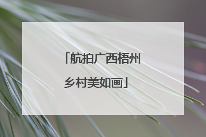 航拍广西梧州乡村美如画
