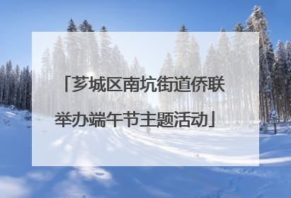 芗城区南坑街道侨联举办端午节主题活动