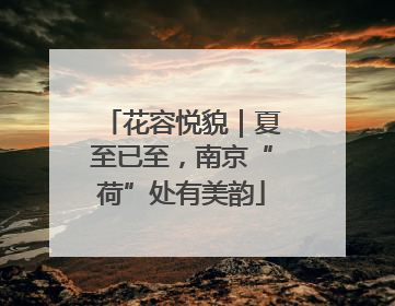 花容悦貌｜夏至已至，南京“荷”处有美韵