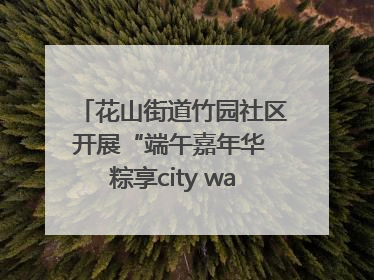 花山街道竹园社区开展“端午嘉年华 粽享city walk”主题活动