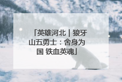 英雄河北｜狼牙山五勇士：舍身为国 铁血英魂