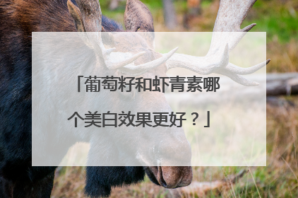 葡萄籽和虾青素哪个美白效果更好？