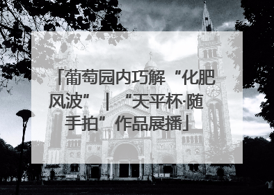 葡萄园内巧解“化肥风波”｜“天平杯·随手拍”作品展播