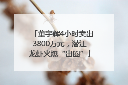 董宇辉4小时卖出3800万元，潜江龙虾火爆“出圈”