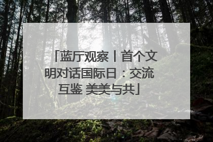 蓝厅观察丨首个文明对话国际日：交流互鉴 美美与共