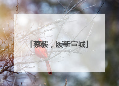 蔡毅，履新宣城