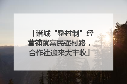 诸城“整村制”经营铺就富民强村路，合作社迎来大丰收