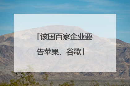 该国百家企业要告苹果、谷歌