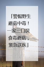 警惕野生蘑菇中毒！一家三口误食毒蘑菇，紧急送医