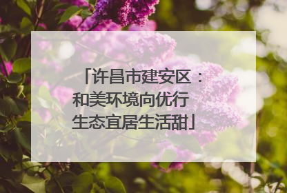 许昌市建安区：和美环境向优行 生态宜居生活甜