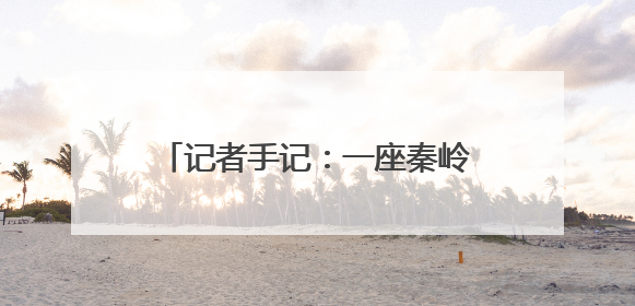 记者手记：一座秦岭小城的乡村美学实践