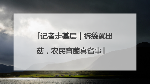 记者走基层｜拆袋就出菇，农民育菌真省事