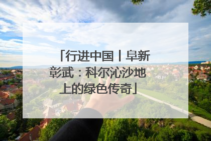 行进中国丨阜新彰武：科尔沁沙地上的绿色传奇