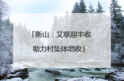 衡山：艾草迎丰收 助力村集体增收