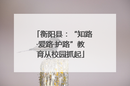 衡阳县：“知路·爱路·护路”教育从校园抓起