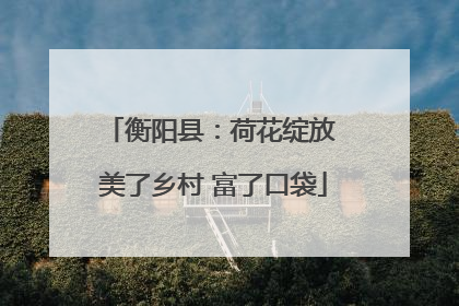 衡阳县：荷花绽放 美了乡村 富了口袋