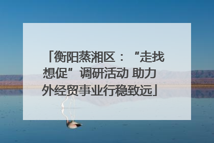 衡阳蒸湘区：“走找想促”调研活动 助力外经贸事业行稳致远