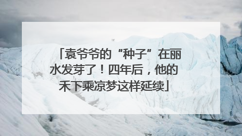 袁爷爷的“种子”在丽水发芽了！四年后，他的禾下乘凉梦这样延续