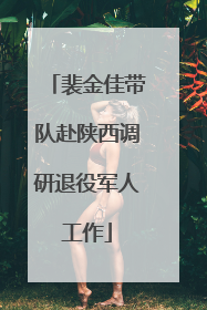 裴金佳带队赴陕西调研退役军人工作