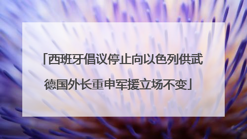 西班牙倡议停止向以色列供武 德国外长重申军援立场不变