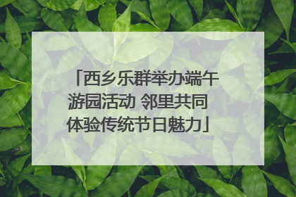 西乡乐群举办端午游园活动 邻里共同体验传统节日魅力