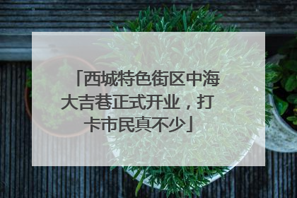 西城特色街区中海大吉巷正式开业，打卡市民真不少