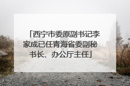 西宁市委原副书记李家成已任青海省委副秘书长、办公厅主任