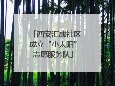 西安汇成社区成立“小太阳”志愿服务队