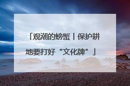 观潮的螃蟹丨保护耕地要打好“文化牌”