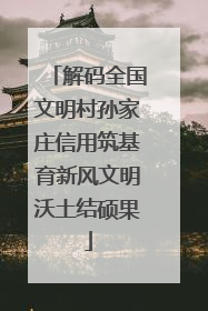 解码全国文明村孙家庄信用筑基育新风文明沃土结硕果