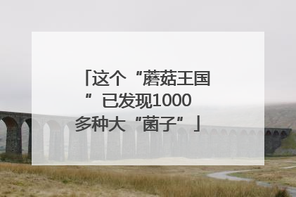 这个“蘑菇王国”已发现1000多种大“菌子”
