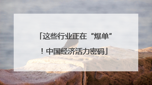 这些行业正在“爆单”！中国经济活力密码