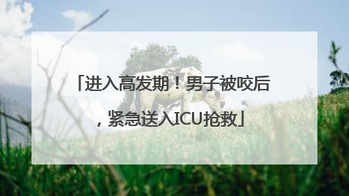 进入高发期！男子被咬后，紧急送入ICU抢救