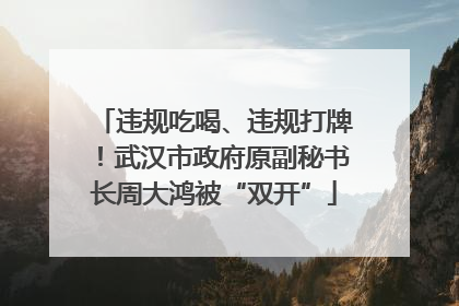 违规吃喝、违规打牌！武汉市政府原副秘书长周大鸿被“双开”