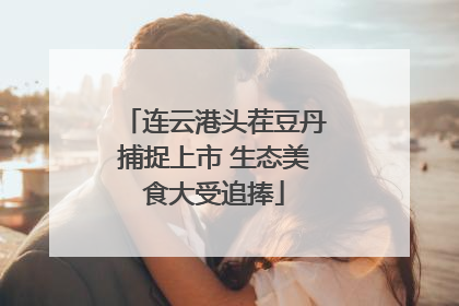 连云港头茬豆丹捕捉上市 生态美食大受追捧