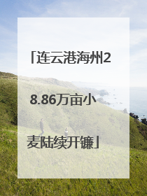 连云港海州28.86万亩小麦陆续开镰