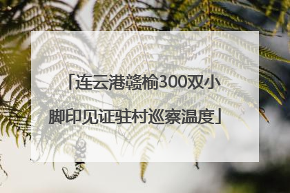 连云港赣榆300双小脚印见证驻村巡察温度