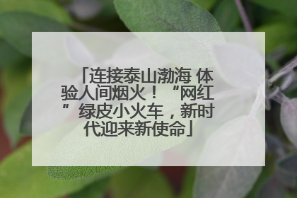 连接泰山渤海 体验人间烟火！“网红”绿皮小火车，新时代迎来新使命