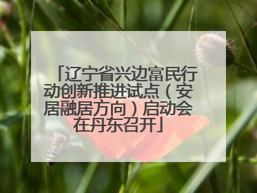辽宁省兴边富民行动创新推进试点（安居融居方向）启动会在丹东召开