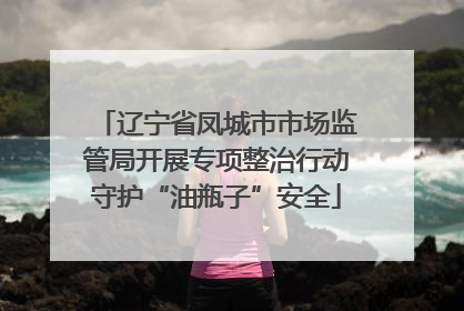 辽宁省凤城市市场监管局开展专项整治行动守护“油瓶子”安全