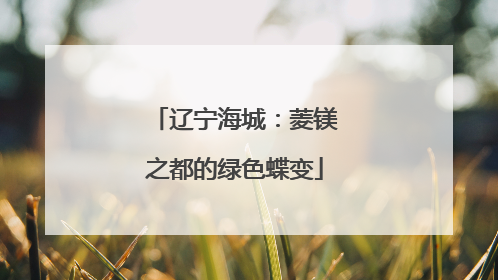 辽宁海城：菱镁之都的绿色蝶变