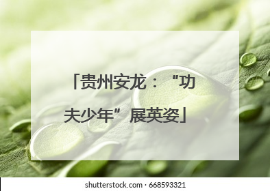 贵州安龙：“功夫少年”展英姿