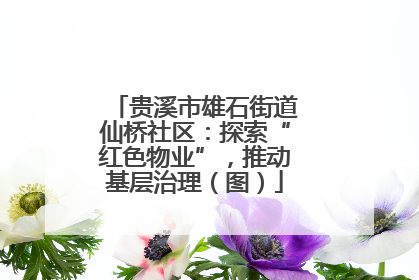 贵溪市雄石街道仙桥社区：探索“红色物业”，推动基层治理（图）