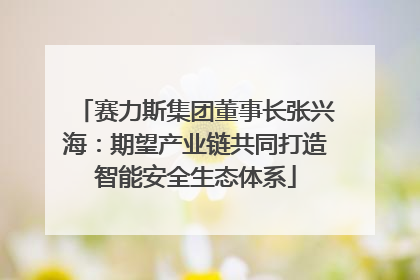 赛力斯集团董事长张兴海：期望产业链共同打造智能安全生态体系