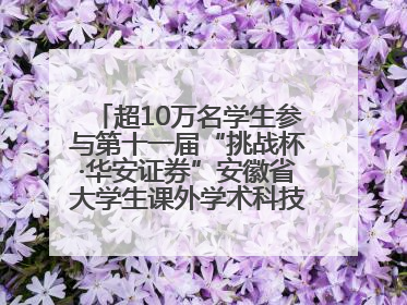 超10万名学生参与第十一届“挑战杯·华安证券”安徽省大学生课外学术科技作品竞赛