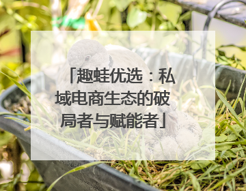 趣蛙优选：私域电商生态的破局者与赋能者