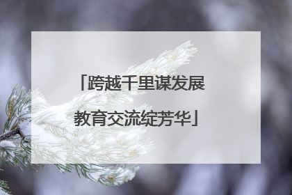 跨越千里谋发展 教育交流绽芳华