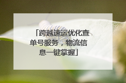 跨越速运优化查单号服务，物流信息一键掌握