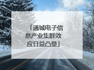 通城电子信息产业集群效应日益凸显