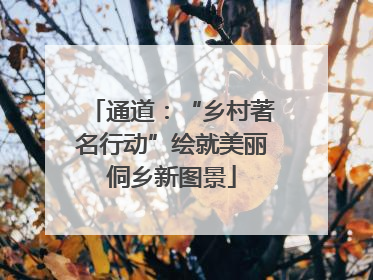通道：“乡村著名行动”绘就美丽侗乡新图景